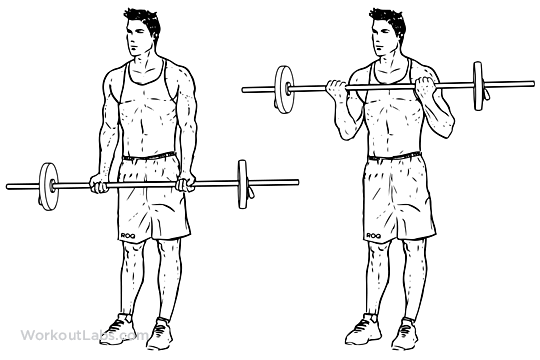 Biceps Antrenmani Iri Kol Kaslari Icin Kol Gelistirme Egzersiz Hareketleri Shredded Brothers Youtube